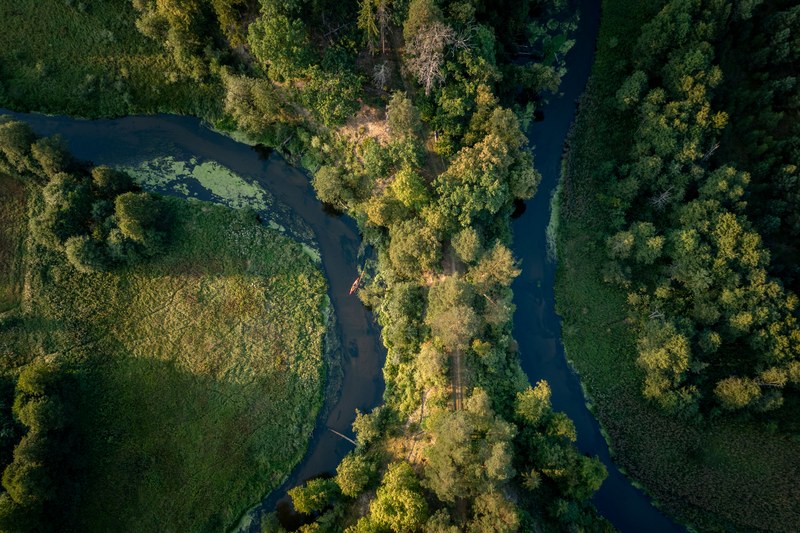 Rezerwat Krzywe Koło w Pętli Wdy